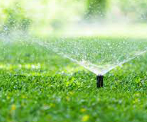 Watering Your Burlington Lawn