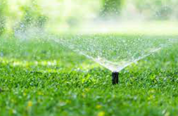 Watering Your Burlington Lawn